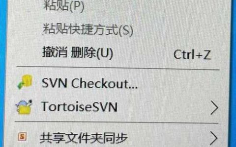 如何确认并优化SVN服务器配置以提升访问速度？