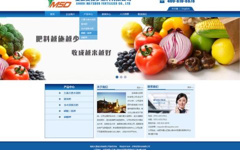 品牌网站建设h合肥_定制双品牌