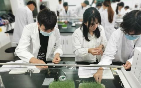 kafka全景实践课_鲲鹏高校教学创新实践课