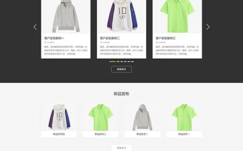 高端定制网站_定制技能