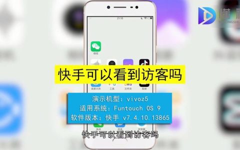 快手平台是否允许用户查看谁访问了他们的个人主页？