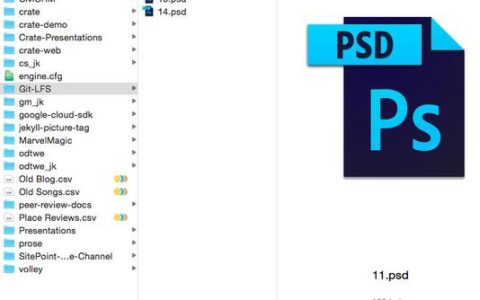 psd 网站_Git LFS使用