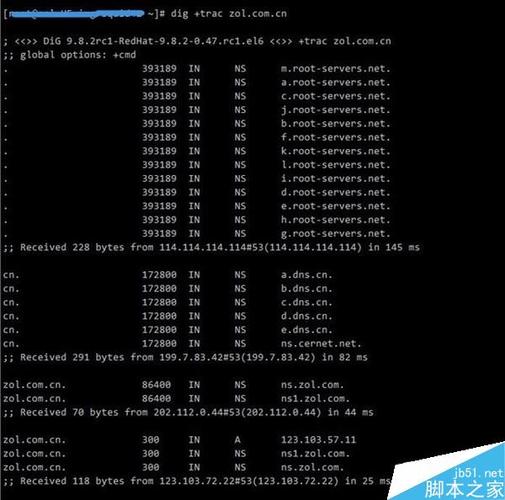 脚本服务器在现代计算中扮演着什么关键角色？插图1