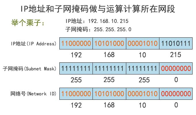 子网掩码是如何帮助网络设备确定数据包的目的地？插图1