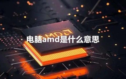 amd代表什么含义？