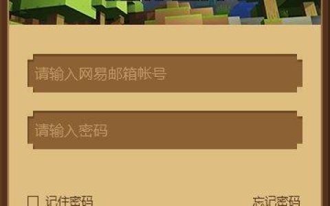 以前的国服叫什么服务器