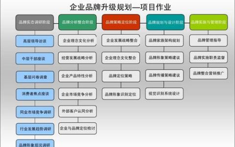 品牌型网站建设方案_定制双品牌