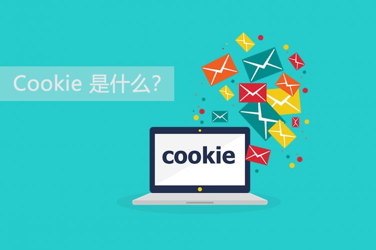 探索网络术语，Cookie究竟指的是什么？插图1