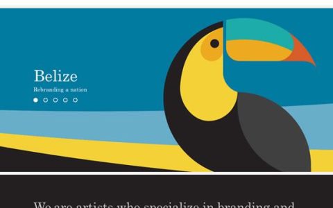 国外网站案例_案例