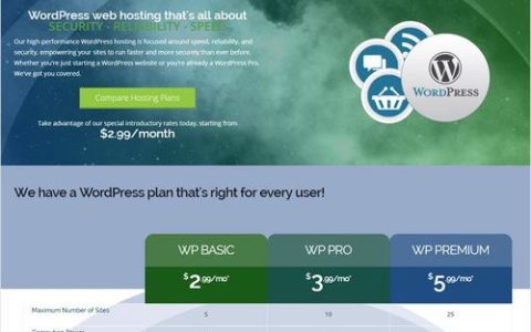 国外网站托管_网站文件托管