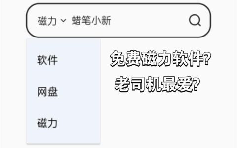 磁力搜索软件的功能和用途有哪些？