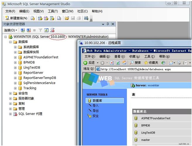 data寻找服务器中什么意思插图1