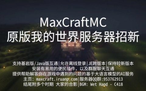 寻找最佳Mc服务器宣传软件，市场上有哪些选择？