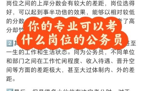 公务员服务器可以考什么