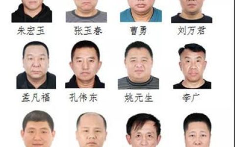 东北网站建设公司如何满足各省管局的具体要求？