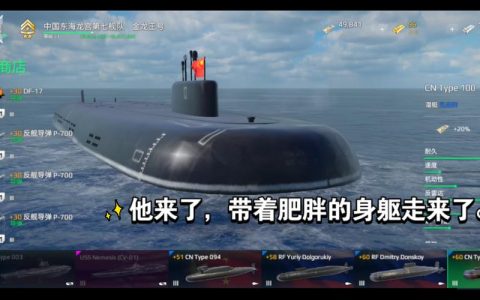 现代战舰大热狗究竟运行在哪种服务器上？