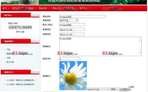 如何建设一个专业的拍卖网站并确保其创建设备的高效运作？