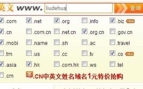 个人网站取什么域名好_域名网站检测