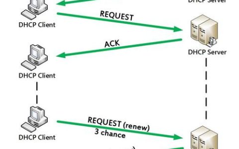 dhcp服务器地址与lan口_LAN口管理