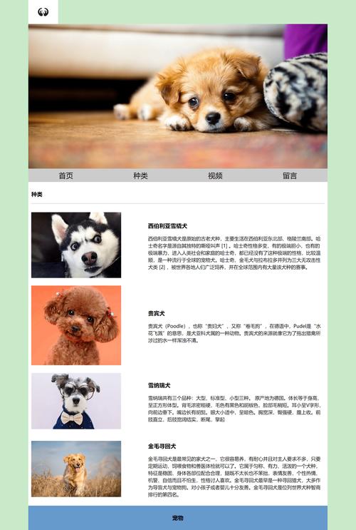 动物网站模板_网站模板设置插图1