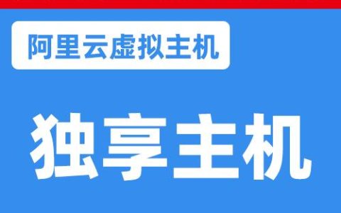 如何有效管理独享虚拟主机普惠版中的独享实例？