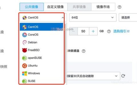 选择Windows还是Linux操作系统镜像，哪个更适合您的服务器需求？