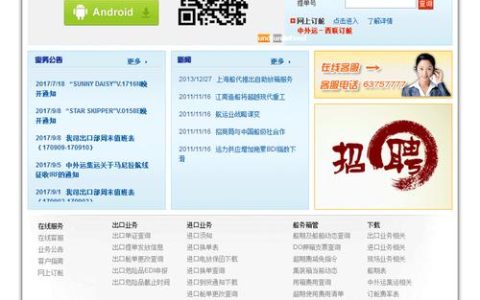 如何安全地通过全局代理登录网站？