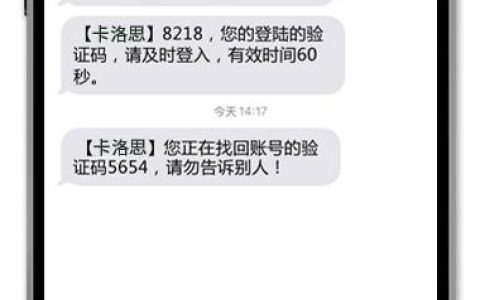 如何优化大于验证码短信服务的发送效率？