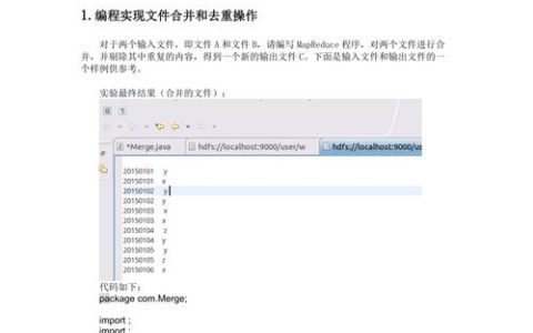 如何通过弹性MapReduce编程优化数据处理流程？