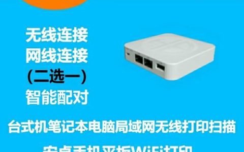 迷你共享服务器，它是什么类型的软件？