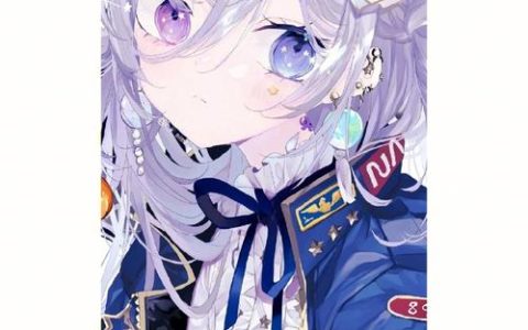 次元姬无法连接服务器的原因是什么？