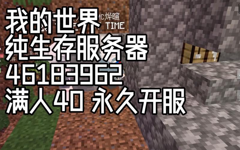 VPS Minecraft服务器，它是什么以及如何运作？插图2