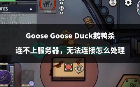 鹅鸭杀游戏需要使用哪种服务器进行游玩？