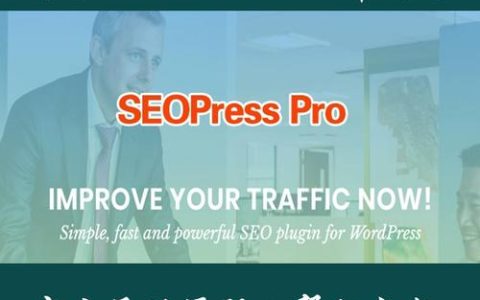 如何在不使用插件的情况下优化WordPress网站的SEO表现？