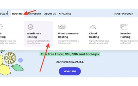 如何利用WordPress轻松搭建自己的专业网站？