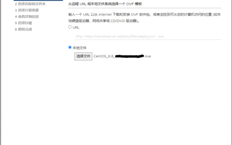 如何决定导入云平台时选择OVF还是OVA格式？