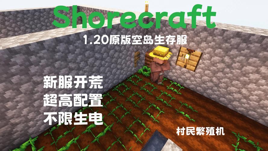 如何查找我的Minecraft服务器的名称？插图1
