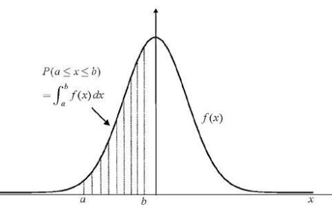 如何有效利用vector函数优化数据处理流程？