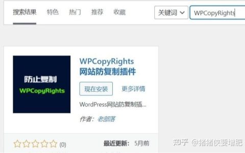 如何通过代码有效防止WordPress文章被复制？