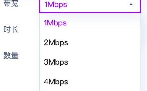 阿里云1m带宽云服务器是否能满足小型企业的基本需求？