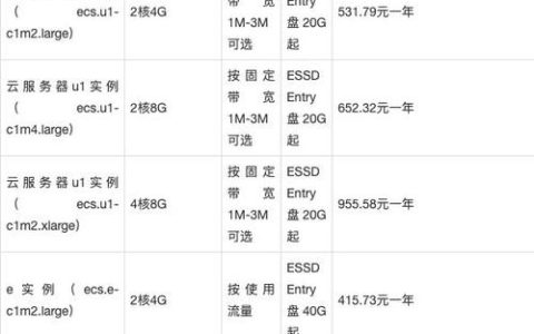 国外云服务器租用费用，性价比如何？
