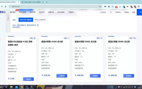VPS服务每月费用解析，了解你的预算需求