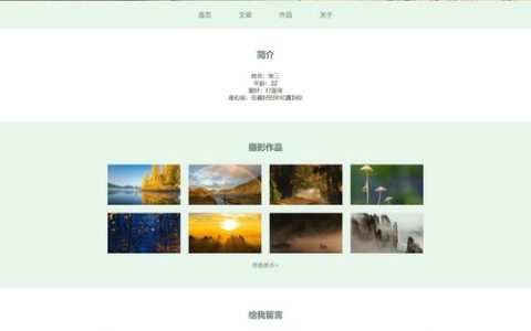 如何利用Web Developer插件简化网页制作过程？