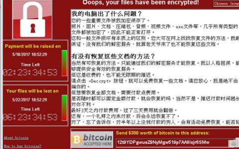 什么是进击的勒索病毒服务器及其影响？