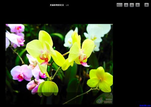 如何将DedeCMS 5.5升级到5.6并使用新的图集内容展示模板？插图2