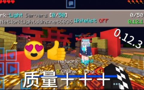 小游戏服务器号有何特点？