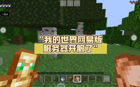 网易版我的世界中，炮爷的服务器名称是什么？