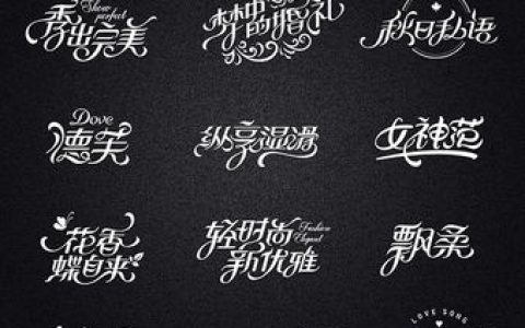 哪些是2016年平面设计师必备的华丽字体？