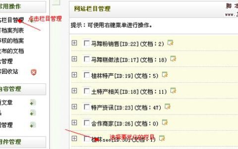 如何通过织梦Dedecms系统进行网站URL目录的SEO优化？