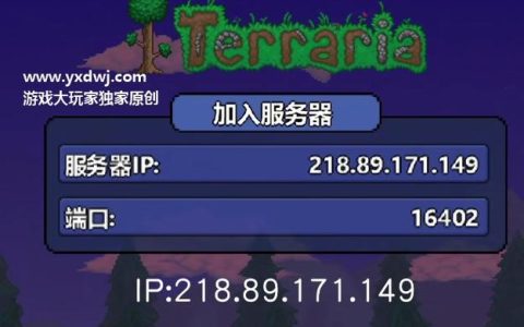 泰拉瑞亚服务器IP地址有何作用？